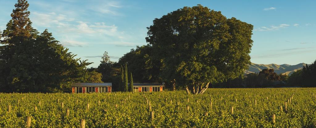 Walnut Block Cottages ブレナム エクステリア 写真